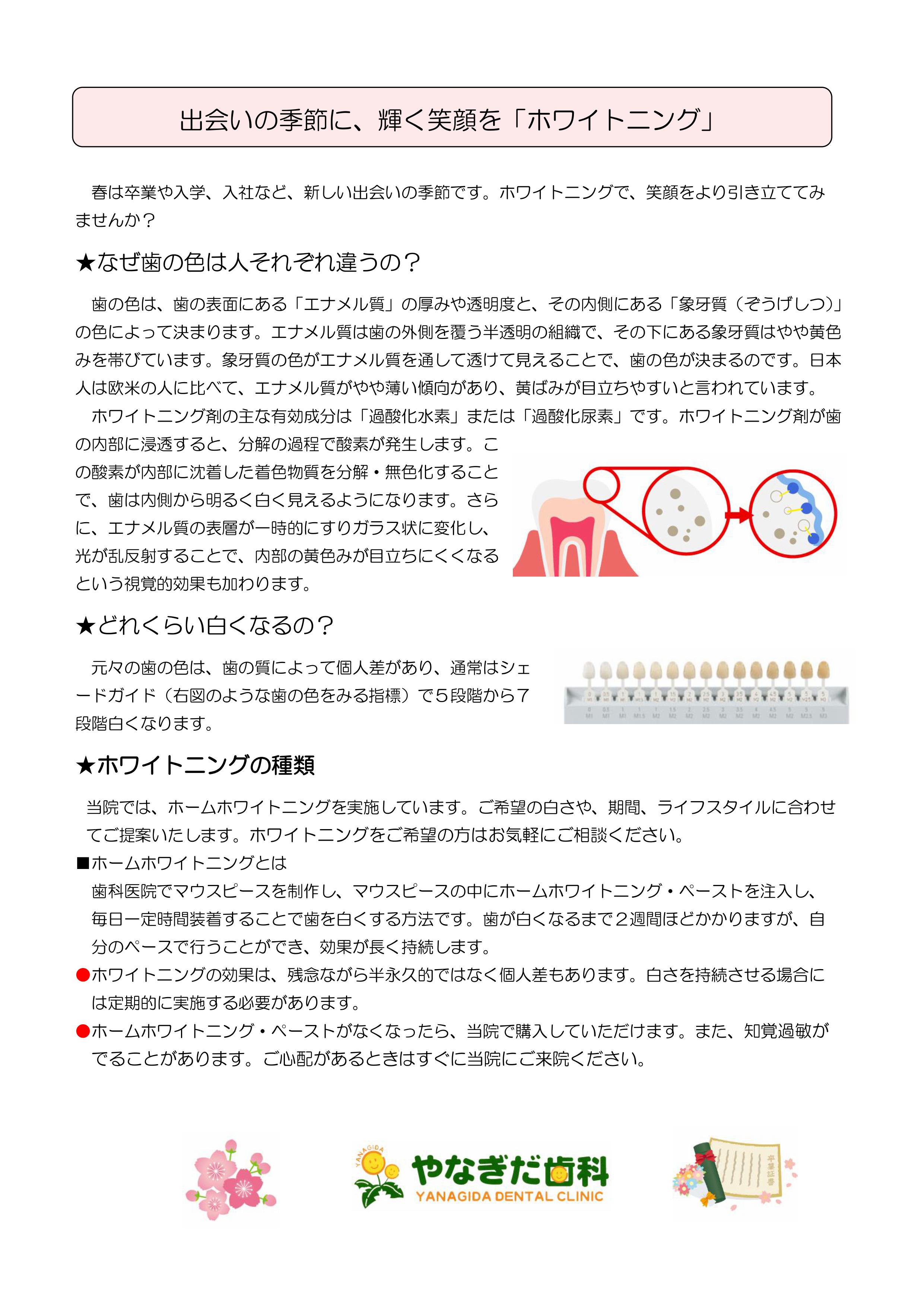 デンタルニュース