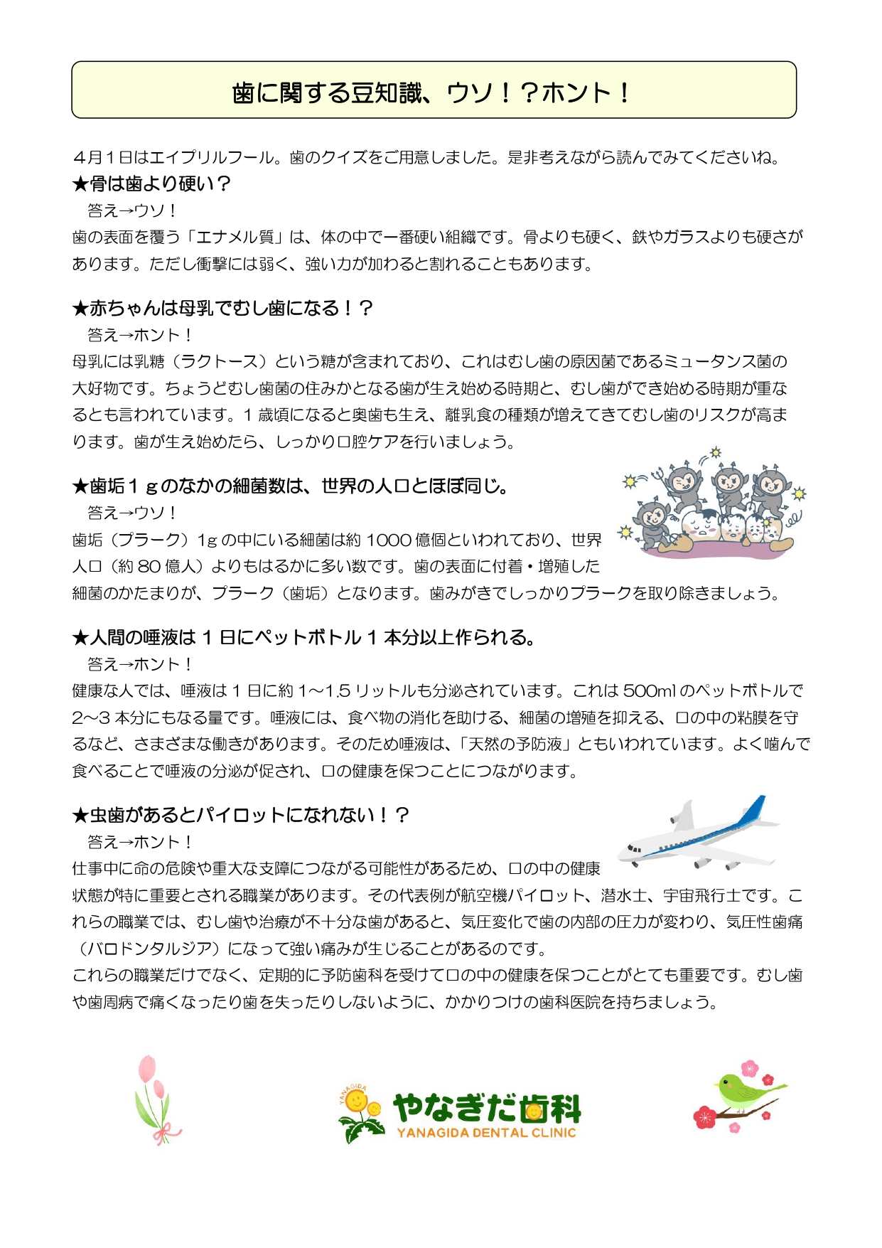 デンタルニュース